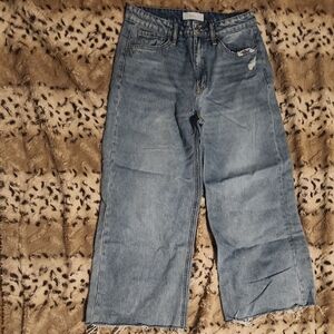 Vervet Wide Leg Jeans